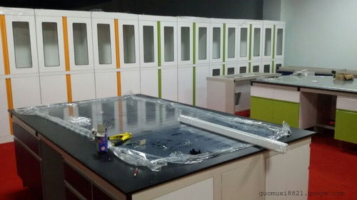 廣州實驗室家具一站式服務 設計、制作、安裝與售后，攜手品谷瀑環保軟件開發